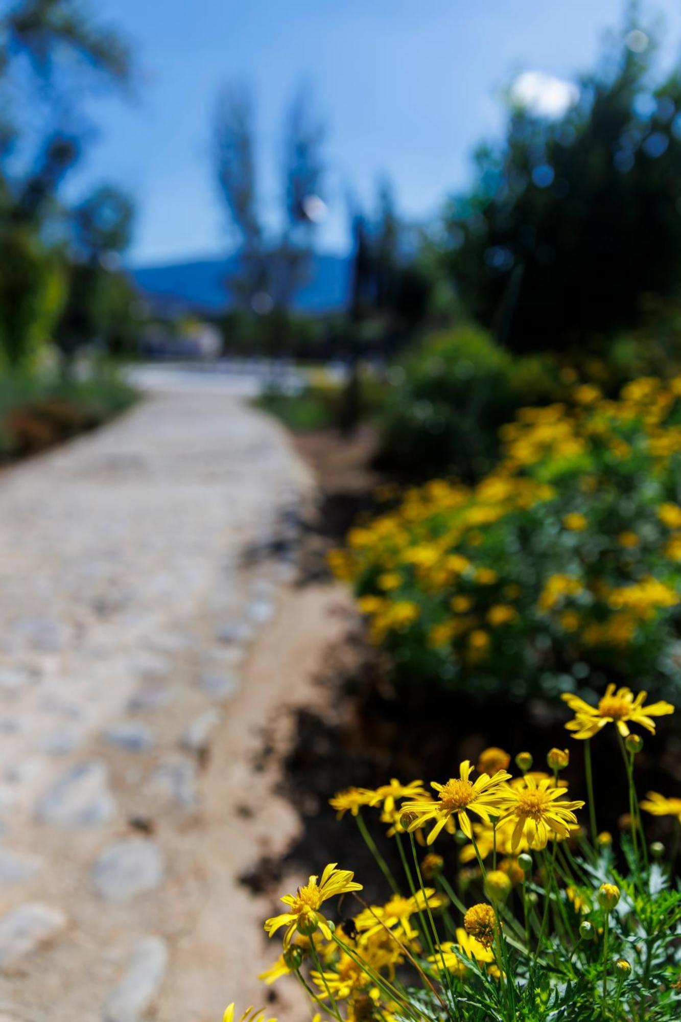 Finca Las Pecas Zambra Ngoại thất bức ảnh